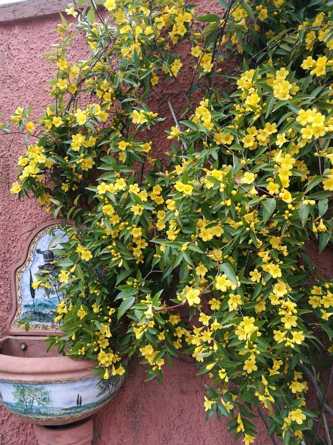 Giusy Bed And Breakfast マリーナ・ディ・カッラーラ エクステリア 写真